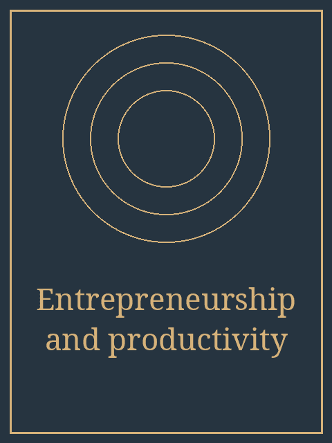 Artwork for Entrepreneurship and productivity